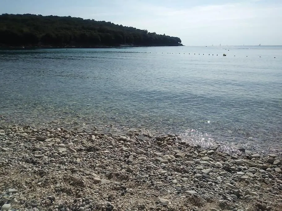 Nora, A Big Terrace By The Sea Apartment Banjole Croatia